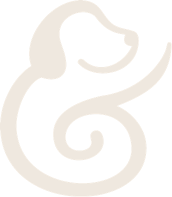 Fell & Verstand Coach für Hund und Mensch Marc Strucks, Krefeld, St. Tönis